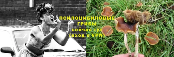 метадон Арсеньев