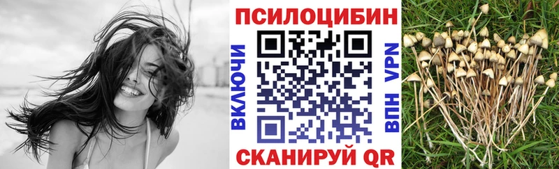 Псилоцибиновые грибы мицелий  Рузаевка 